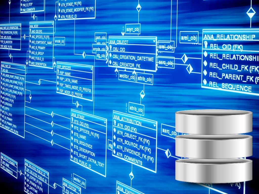 Certifica tus conocimientos en diseño de base de datos